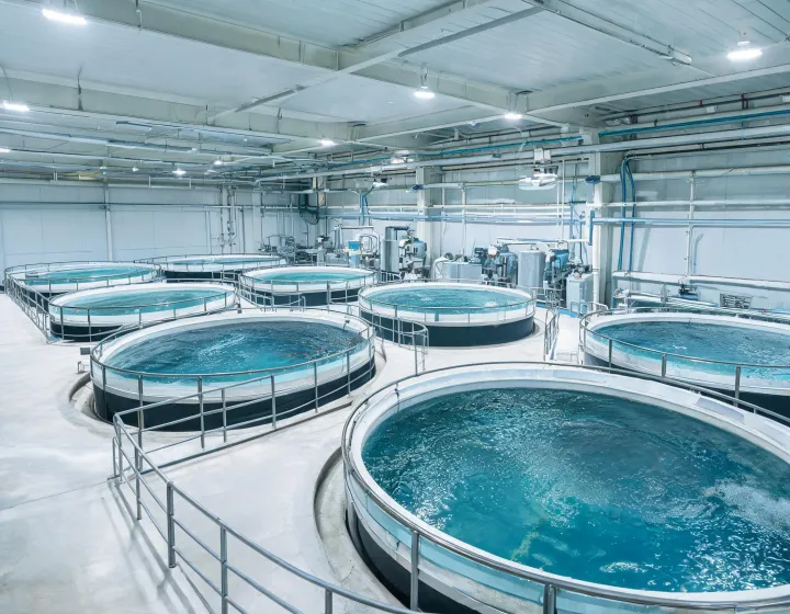 Tank access and harvesting aisle